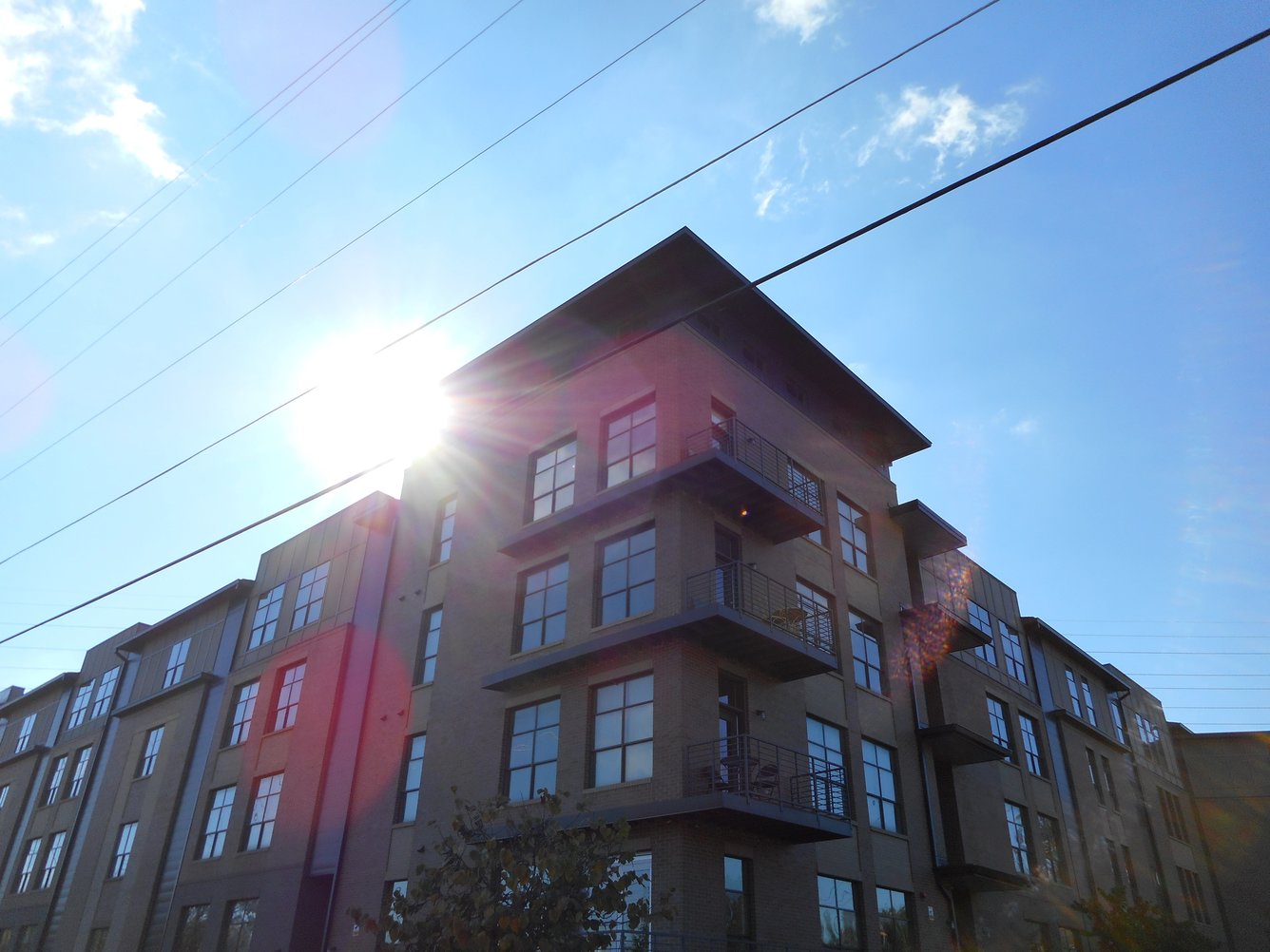 Gale Lofts 3 of 12