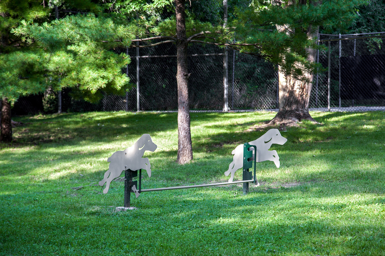 Dog park at Fountain Place