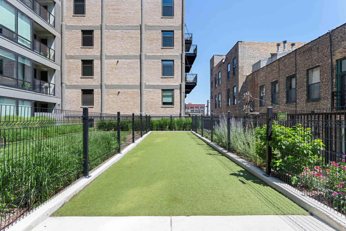 Dog park at Circa 922
