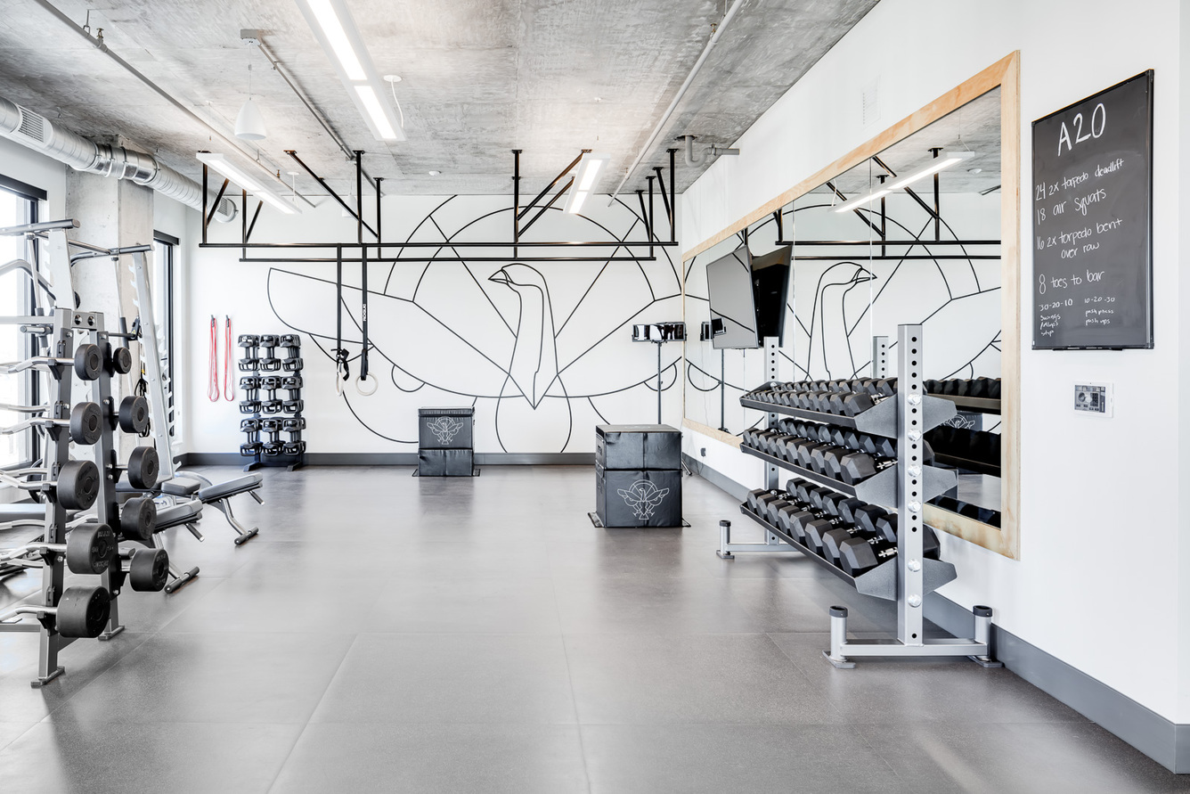 Rafter 3 of 12