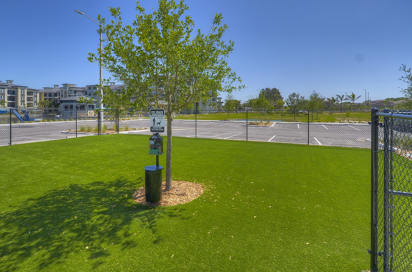 Dog park at Charleston on 66th (1 of 2)