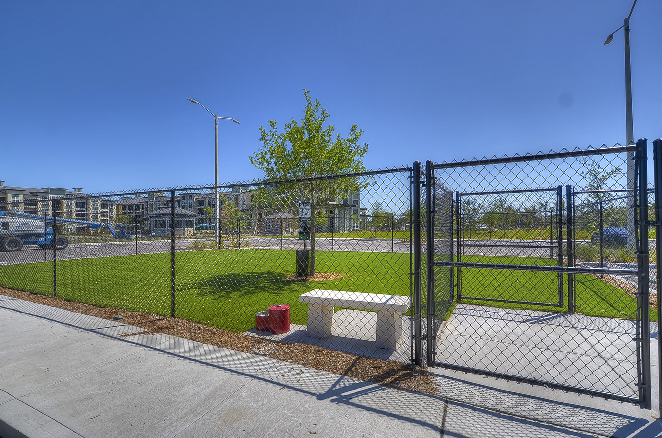 Dog park at Charleston on 66th (2 of 2)