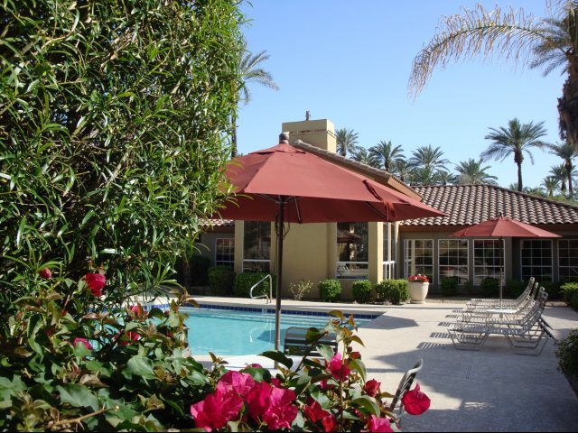 The Palms 1 of 12
